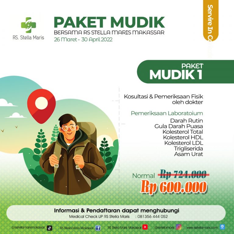 mudik1