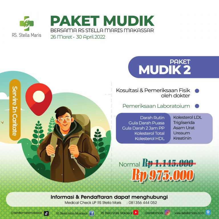 mudik2
