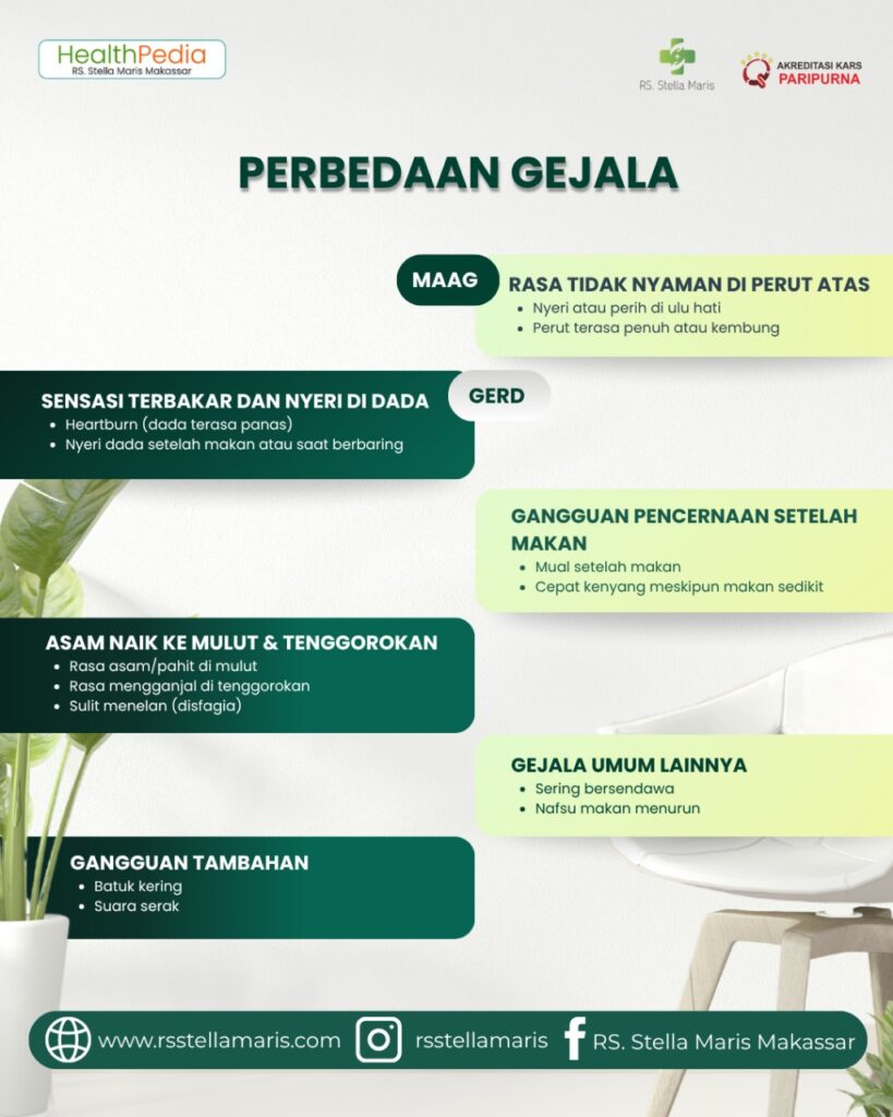 WhatsApp Image 2025-11-05 at 10.51.59(1)